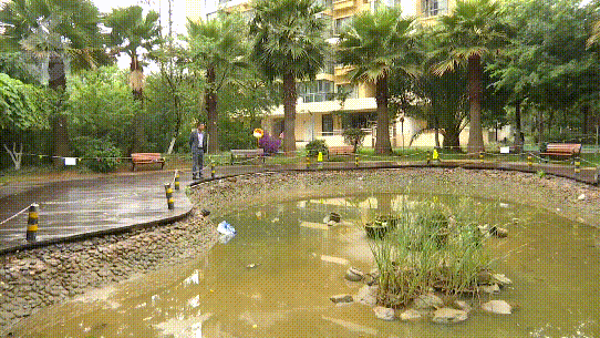 安全第一！这些防溺水知识转给师生家长-2.gif