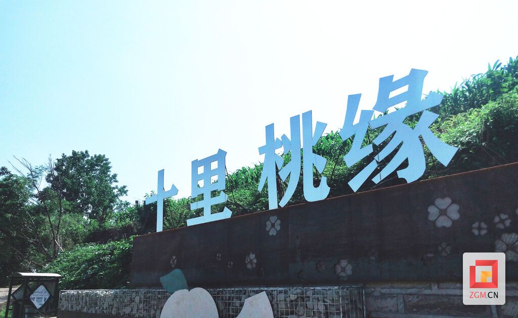 【自贡果蔬派⑩】永安镇丰收村十里桃缘桃子喜获丰收-3.jpg
