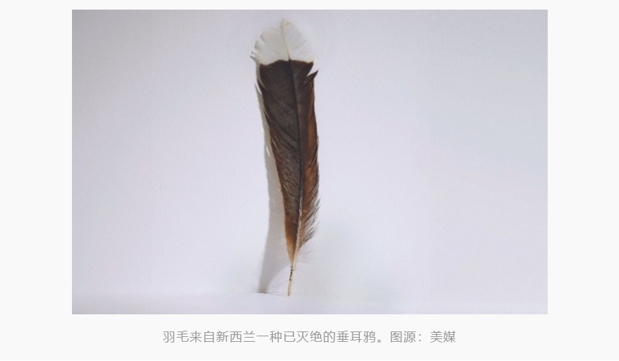 早安！自贡观察带您观天下（2024年5月24日）-6.png