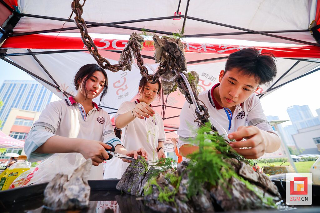 亮点纷呈！富顺县举行首届中小学劳动教育成果展示暨劳动技能大赛-9.jpg