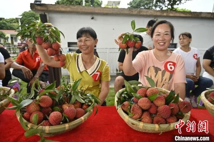 海口单颗“荔枝王”拍卖出1.68万元高价-1.jpg