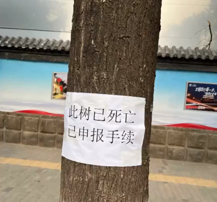 早安！自贡观察带您观天下（2024年5月26日）-8.png
