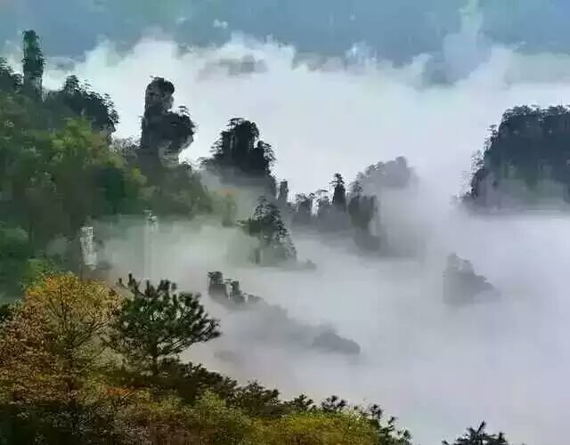 微信图片_20240314200833.jpg