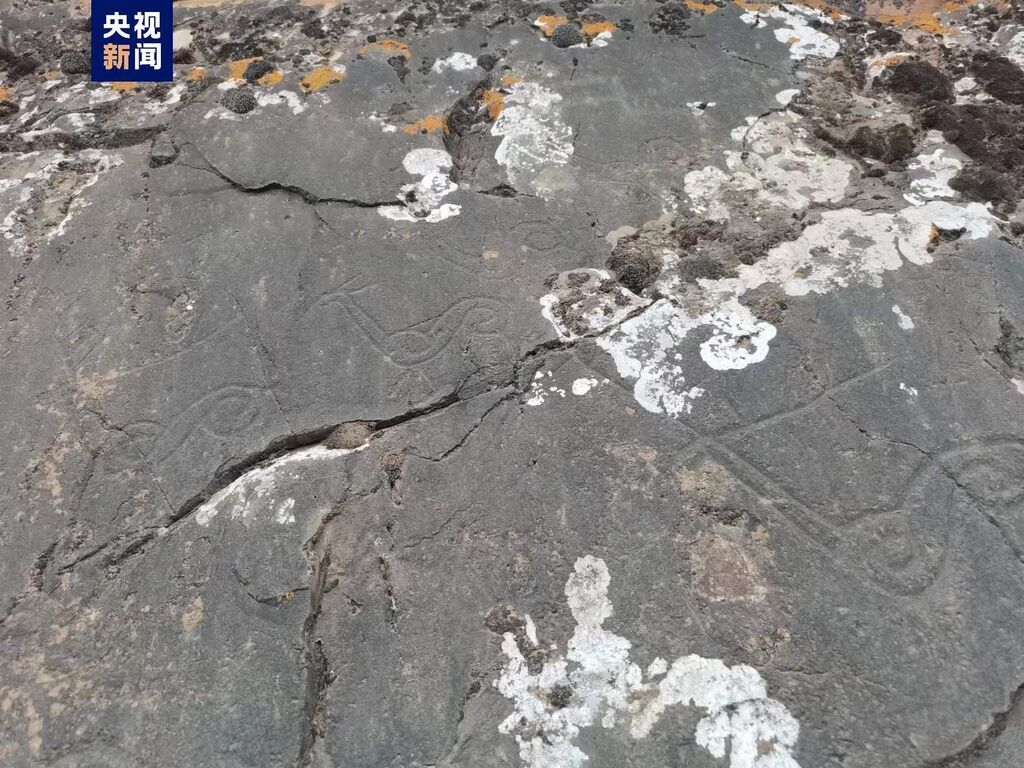 距今3000多年！青海新发现一处罕见岩画群-1.jpg