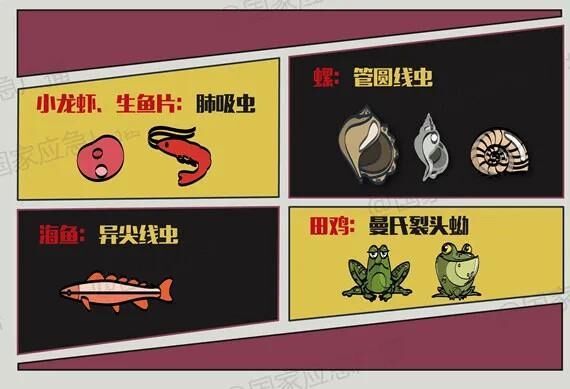 警惕福寿螺！寄生虫多达6000条 误食可致死-7.jpg