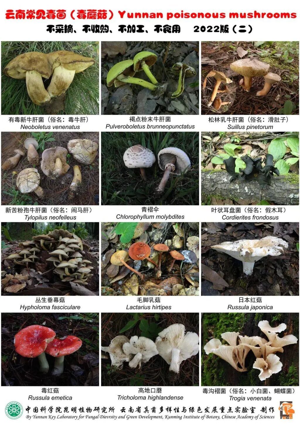 菌中毒为啥会看见“小人人”？解答来了！-2.jpg