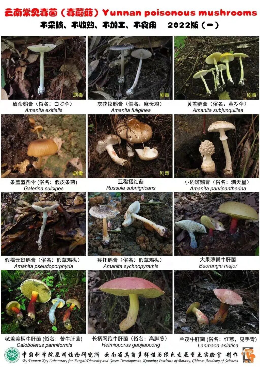 菌中毒为啥会看见“小人人”？解答来了！-1.jpg