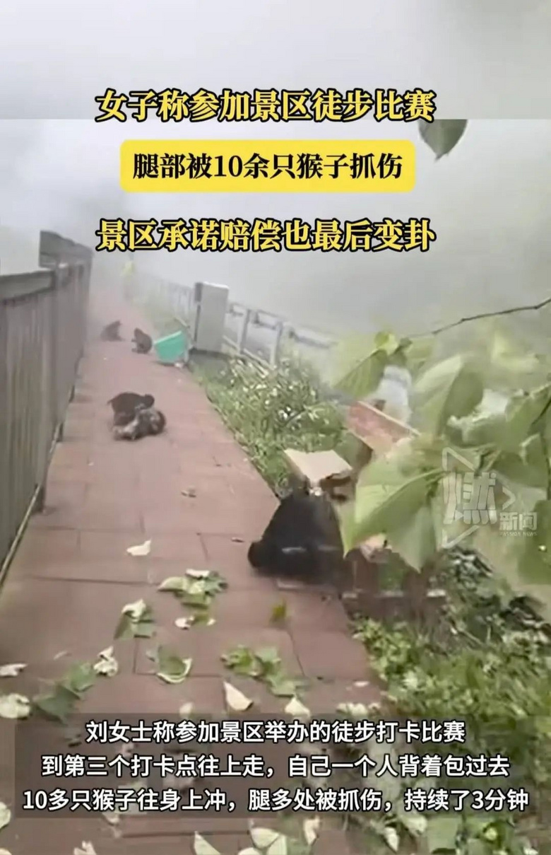恐怖！女子景区徒步被疯狂围攻抓咬......官方回应-1.jpg