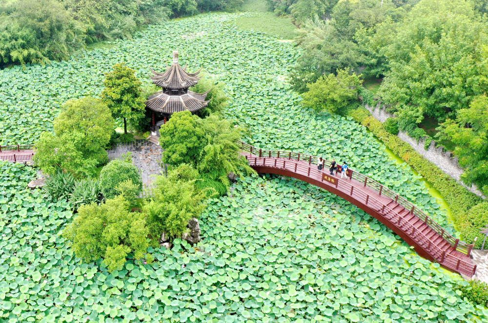 暑期旅游升温-4.jpg