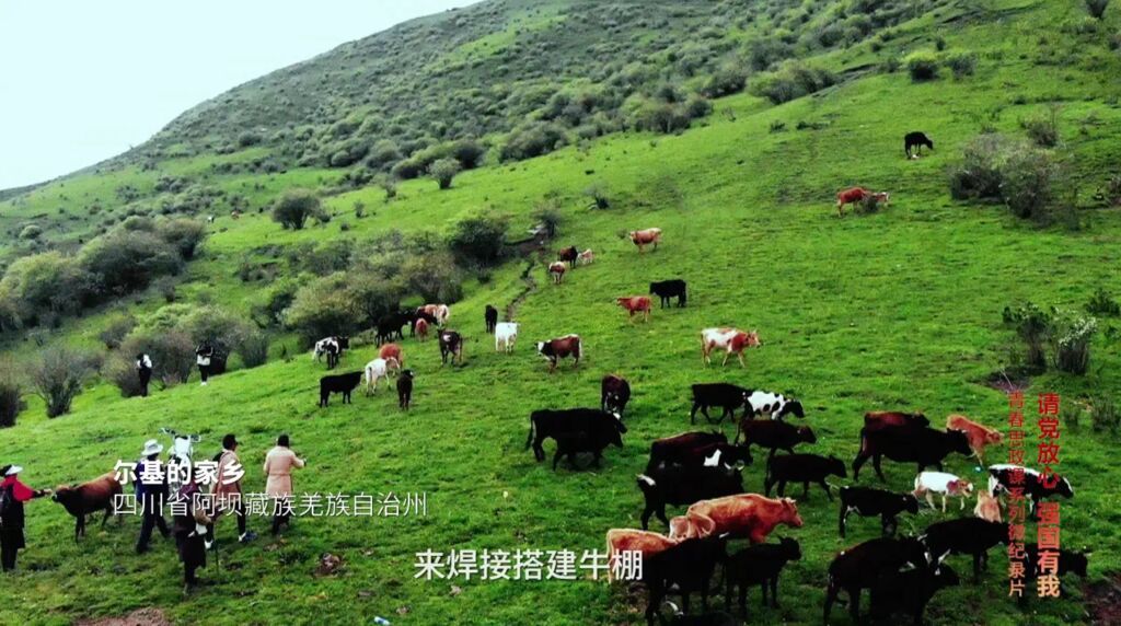 央媒看四川 | 藏族小伙尔基，核级焊工！-3.jpg
