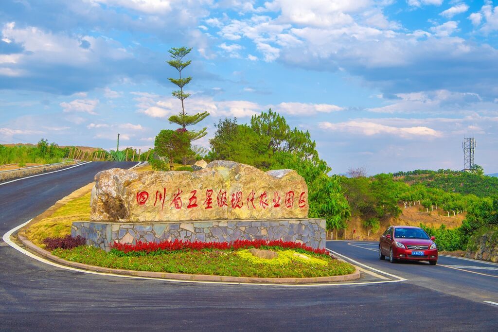 攀枝花芒果家族全家福，看这里→-1.jpg