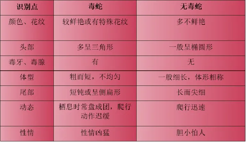 夏季“蛇”出没，如何避免蛇咬伤？-1.png