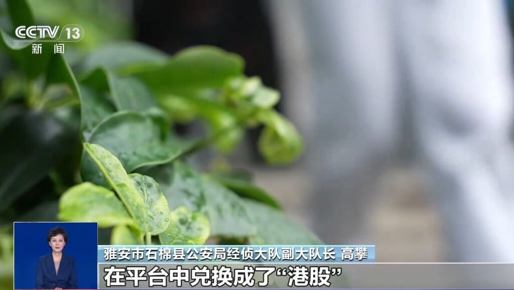 线上“认养黑猪”就能赚钱？这是新型网络传销！四川一男子已“中招”-1.jpg