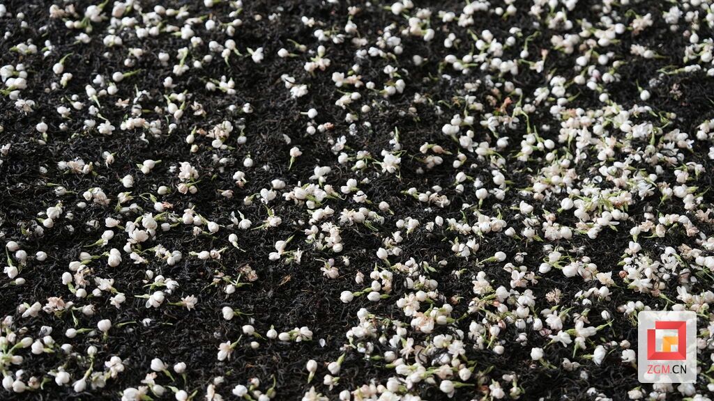 中国花茶之乡荣县开启“芬芳产业”新赛道-7.jpg