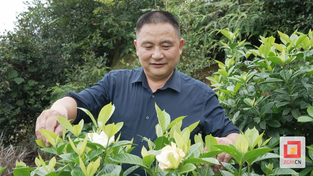 中国花茶之乡荣县开启“芬芳产业”新赛道-4.jpg