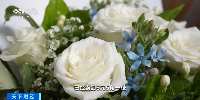 日均交易800万枝！七夕催热鲜花市场，昆明部分鲜花价格翻倍-3.jpg
