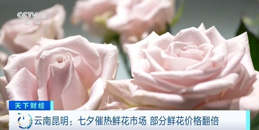 日均交易800万枝！七夕催热鲜花市场，昆明部分鲜花价格翻倍-2.jpg