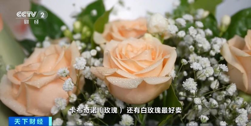 日均交易800万枝！七夕催热鲜花市场，昆明部分鲜花价格翻倍-7.jpg