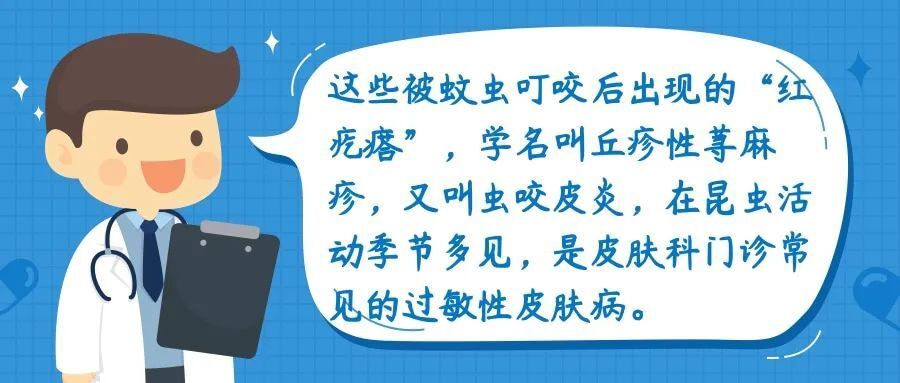 蚊叮虫咬后的“红疙瘩”，这样处理好得快-3.jpg