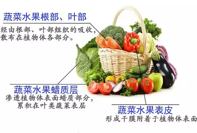 应急科普 | 如何清洗蔬菜？方法来了→-1.png