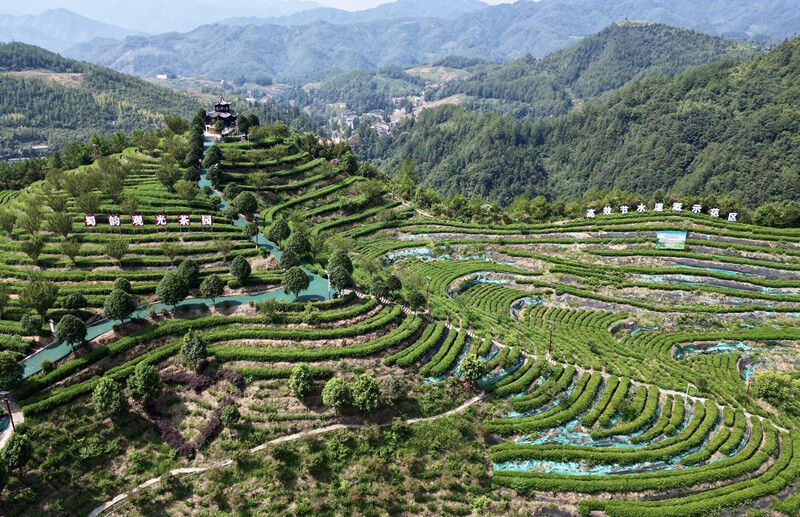 巡礼天府旅游名县：直降20℃！大巴山邀你清凉一夏-1.jpg