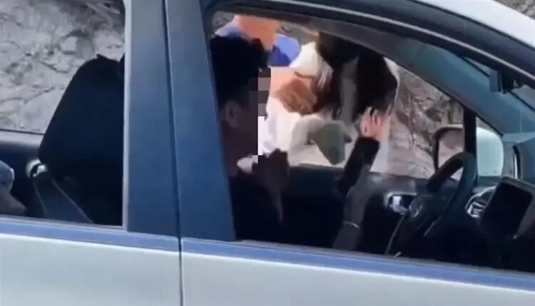 最新！逆行打人路虎女司机系普通村民，警方将再通报-2.jpg