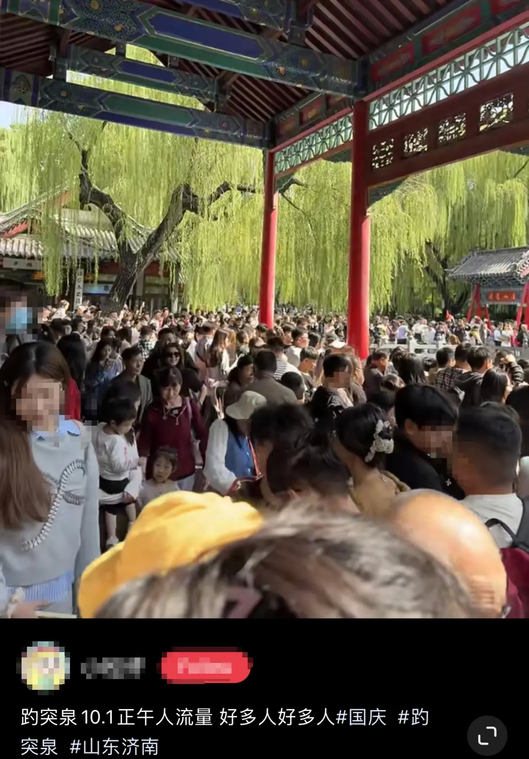 多项纪录被打破！超23万人做了同一件事-7.png