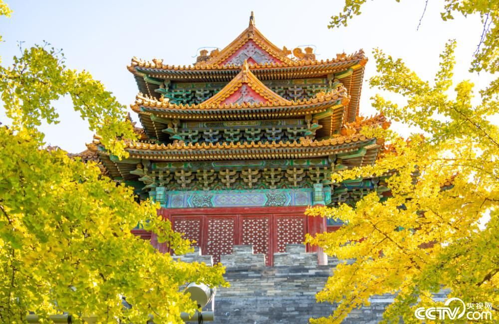 自贡观察带您观天下（2024年10月22日）-14.jpg