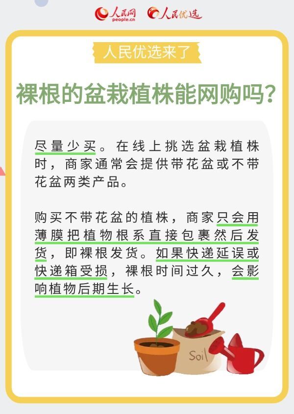 室内花卉绿植怎么选？实用小贴士请查收-6.jpeg