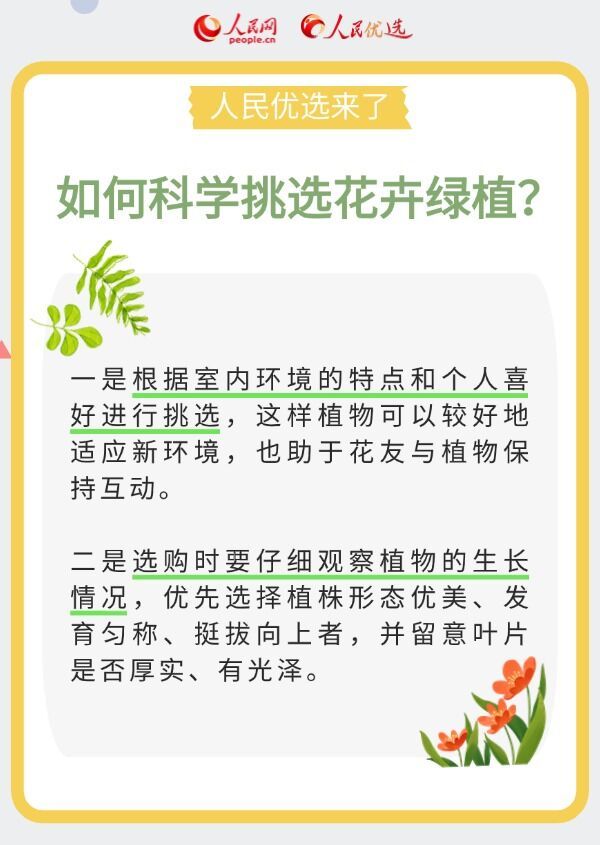 室内花卉绿植怎么选？实用小贴士请查收-2.jpeg