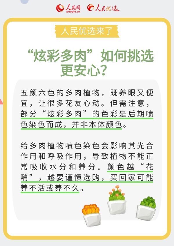 室内花卉绿植怎么选？实用小贴士请查收-5.jpeg