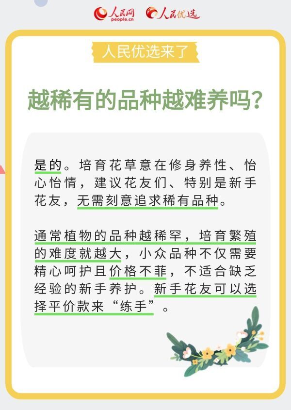 室内花卉绿植怎么选？实用小贴士请查收-1.jpeg