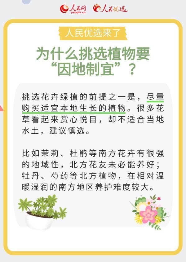 室内花卉绿植怎么选？实用小贴士请查收-7.jpeg