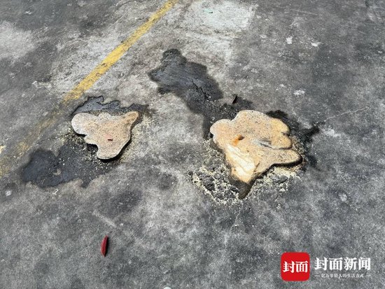 大树被砍成树桩 家属委员会：树木占用部分消防通道、压电线-1.jpg