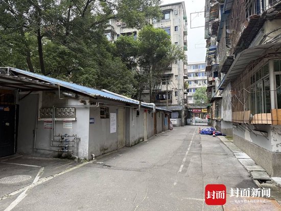 大树被砍成树桩 家属委员会：树木占用部分消防通道、压电线-4.jpg