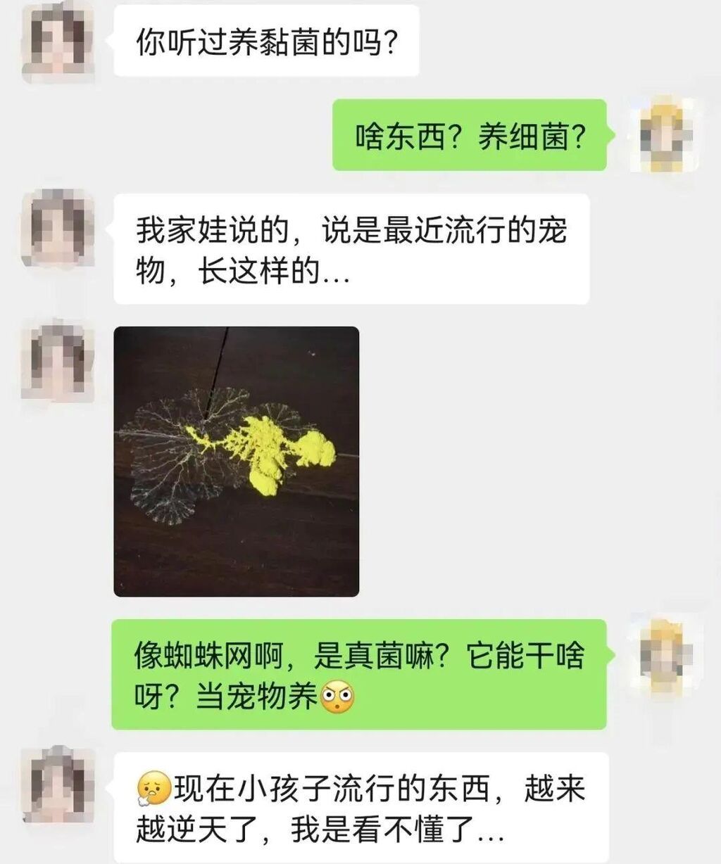 紧急提醒！严重可窒息致死 校园流行的“死亡游戏”千万玩不得→-10.jpg