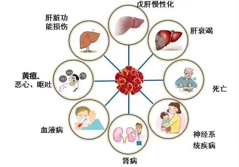 一盘下肚，男子急性肝衰竭！这道菜很多人都爱吃......-5.png