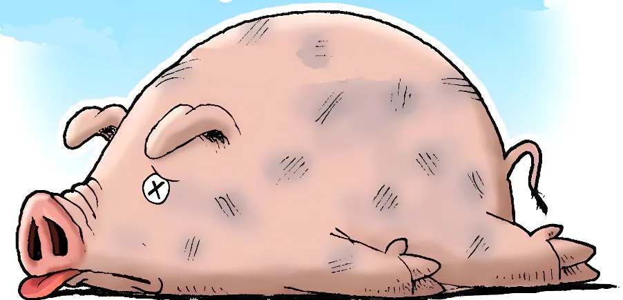 切生猪肉受伤险丧命 猪链球菌如何预防？-3.png