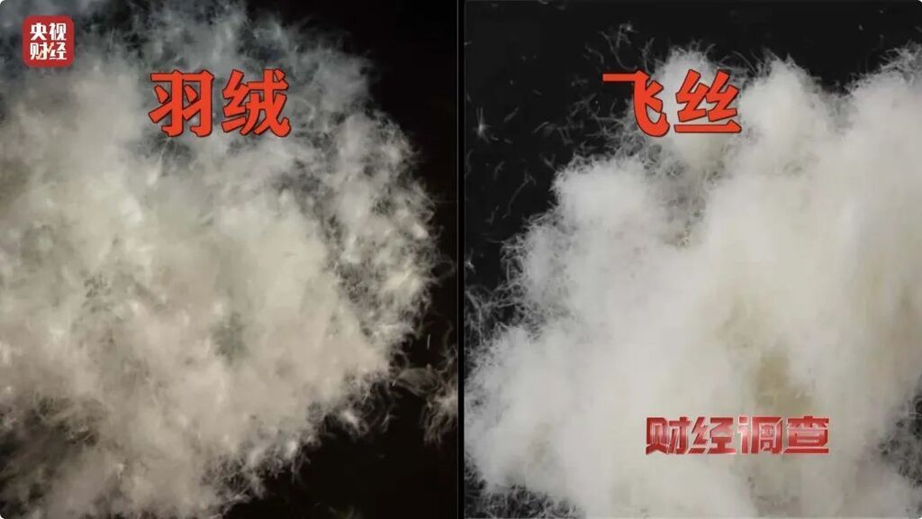 羽绒服、羽绒被里没羽绒！羽绒制品造假产业链被曝光-4.jpg