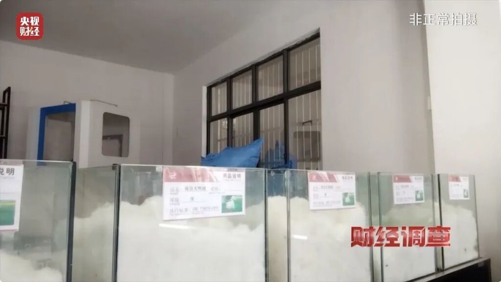 羽绒服、羽绒被里没羽绒！羽绒制品造假产业链被曝光-11.jpg