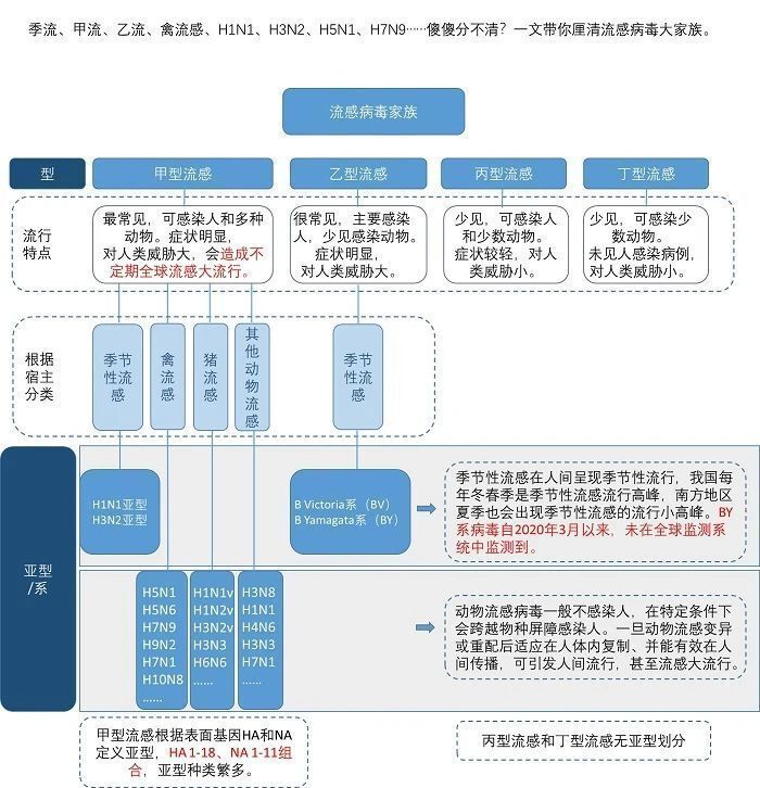 甲流、乙流、禽流感……都是流感，有什么不同？-1.jpg