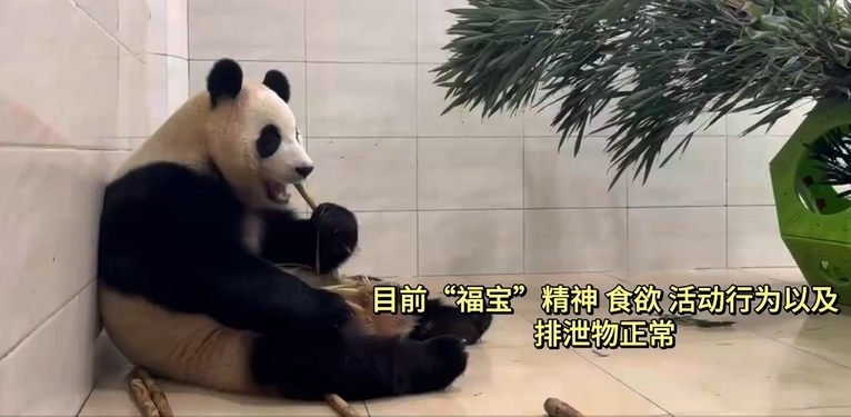 自贡观察带您观天下（2024年12月5日）-8.png