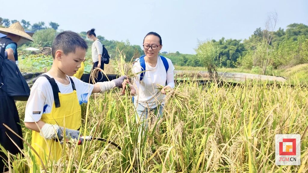 志愿服务“百花争艳” 自贡市2024年度“十佳志愿服务项目”出炉-3.jpg