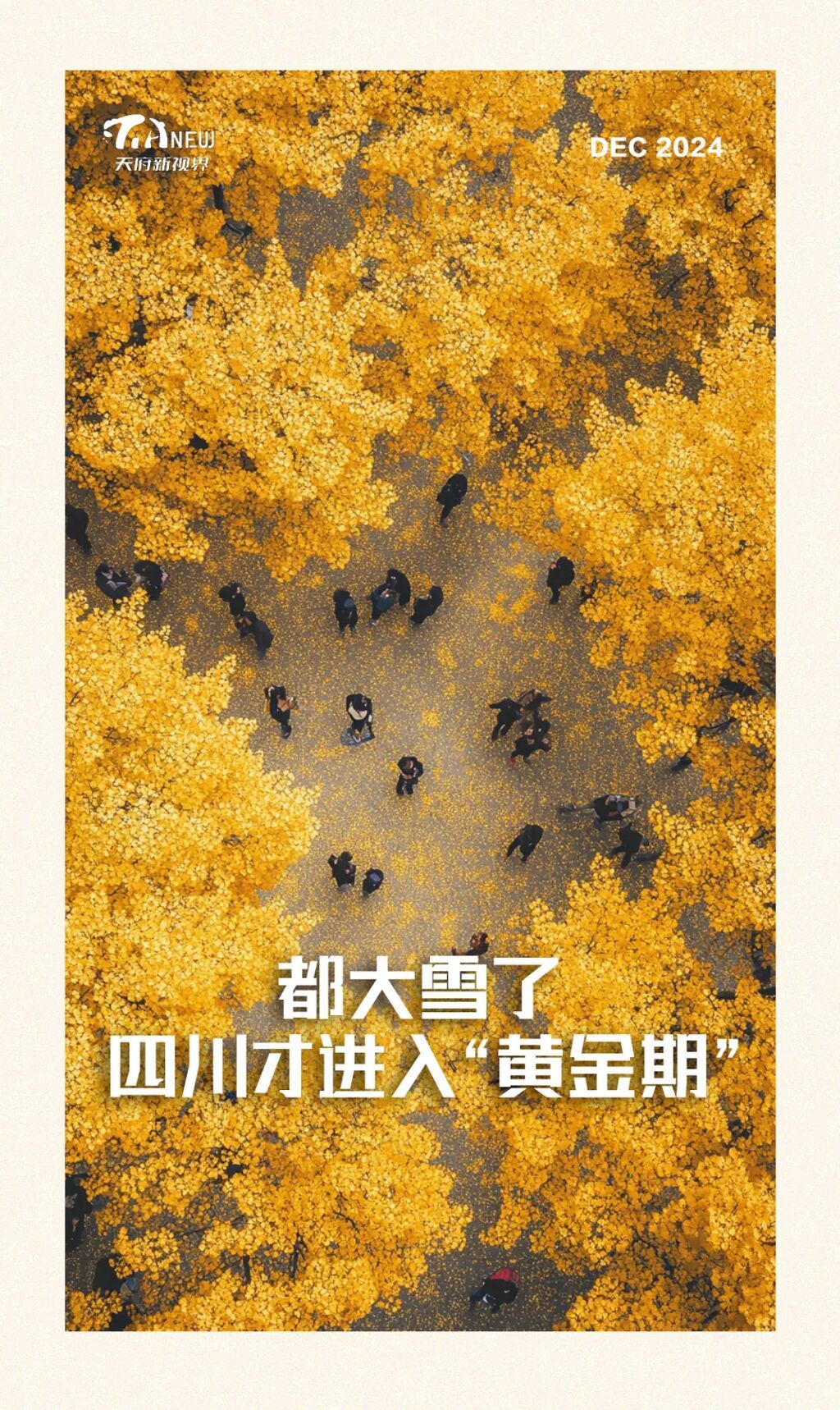 都大雪了，四川才进入“黄金期”-1.jpg