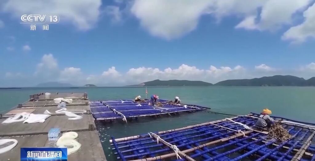 江门到珠海仅需30分钟！黄茅海跨海通道极大便利两地物流运输-2.jpg