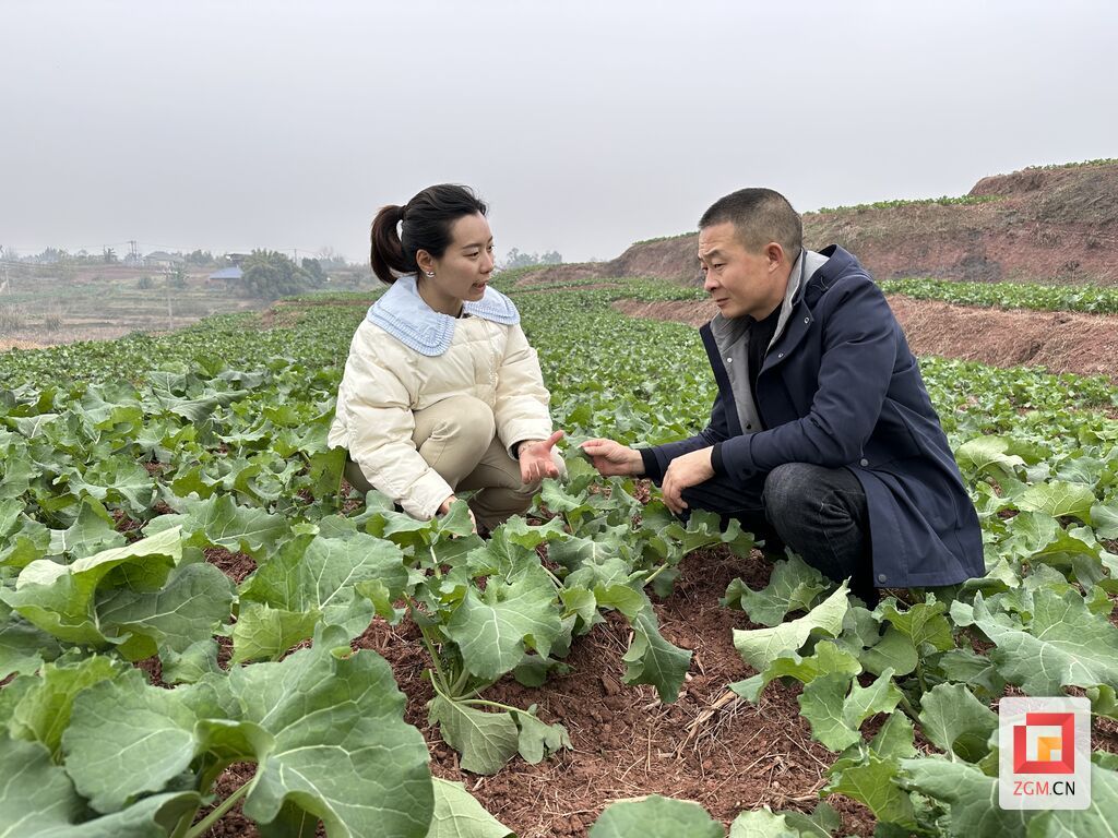 【自贡青年说】甘雪梅：心系乡村振兴 踏上“田园征途”-2.jpg