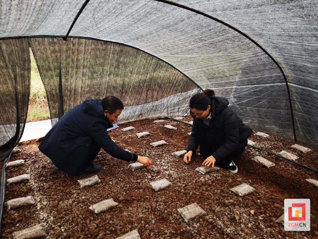 【自贡青年说】甘雪梅：心系乡村振兴 踏上“田园征途”-5.jpg