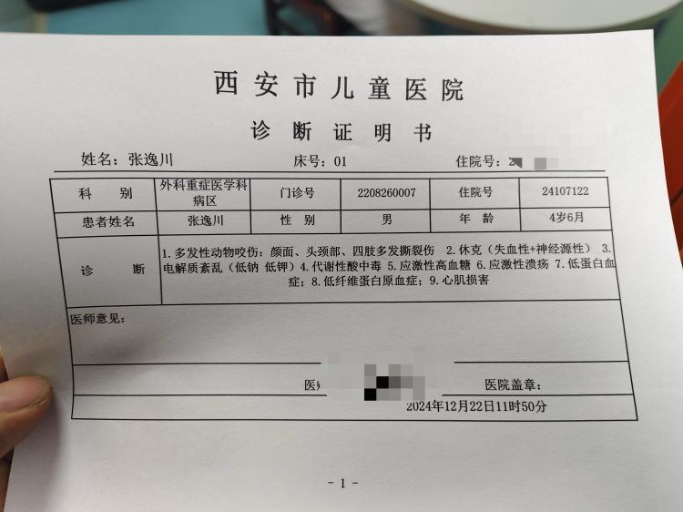 西安4岁男童遭两恶犬袭击重伤，警方启用无人机搜寻现场-2.jpg