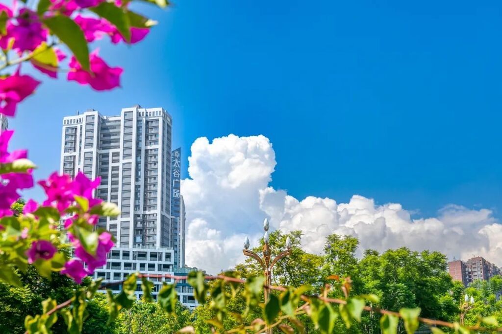 获评“2024最具幸福感城市” 看攀枝花的“幸福密码”-6.jpg