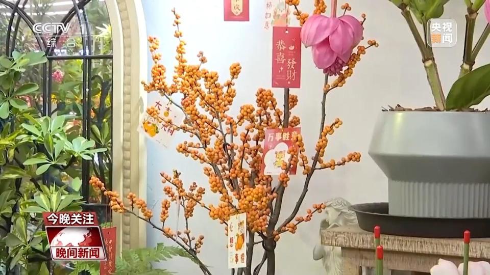新年将至 看节前消费如何“上新”-4.jpg